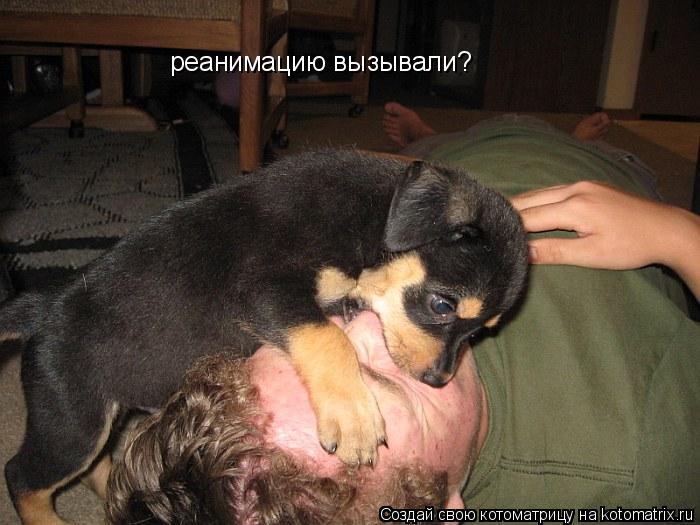 реанимацию вызывали?... Котоматрица: реанимацию вызывали?