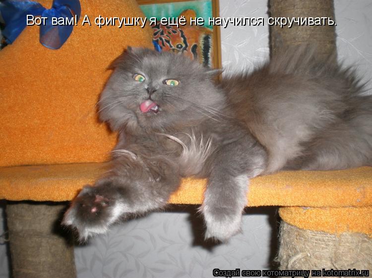 Вот вам! А фигушку я ещё не научился скручивать.... Котоматрица: Вот вам! А фигушку я ещё не научился скручивать.