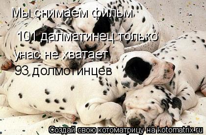 Мы снимаем фильм 101 далматинец только унас не хватает 93 долмотинцев... Котоматрица: Мы снимаем фильм 101 далматинец только унас не хватает 93 долмотинцев