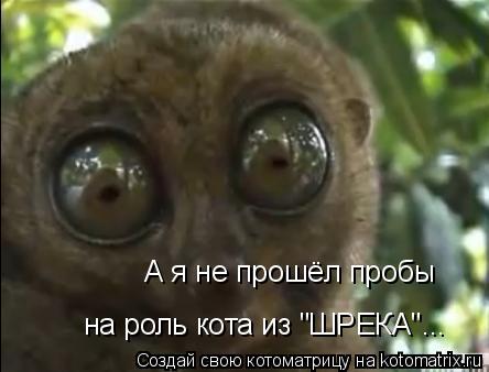 А я не прошёл пробы на роль кота из "ШРЕКА"...... Котоматрица: А я не прошёл пробы на роль кота из "ШРЕКА"...