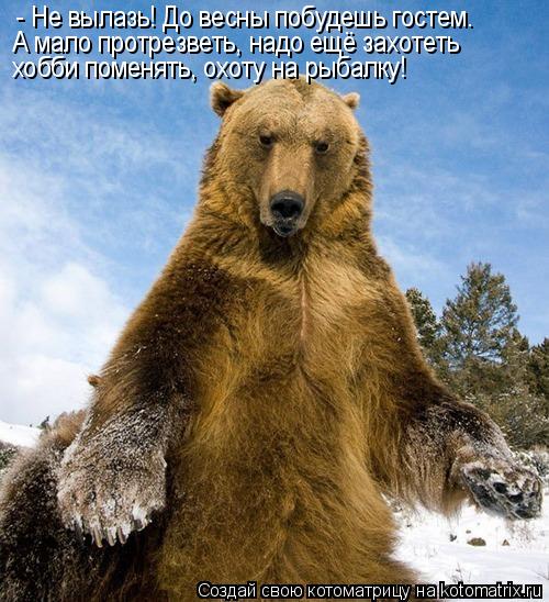 - Не вылазь! До весны побудешь гостем. А мало протрезветь, надо ещё захотеть хобби поменять, охоту на... Котоматрица: - Не вылазь! До весны побудешь гостем. А мало протрезветь, надо ещё захотеть хобби поменять, охоту на рыбалку!