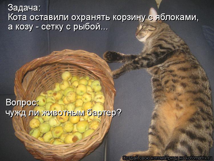 Задача: Кота оставили охранять корзину с яблоками, а козу - сетку с рыбой... Вопрос: чужд ли животным... Котоматрица: Задача: Кота оставили охранять корзину с яблоками, а козу - сетку с рыбой... Вопрос: чужд ли животным бартер?