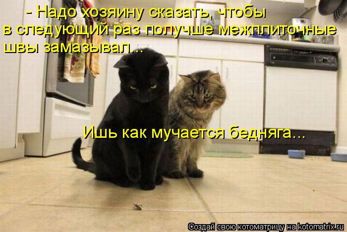 - Надо хозяину сказать, чтобы в следующий раз получше межплиточные швы замазывал... Ишь как мучается ... Котоматрица: - Надо хозяину сказать, чтобы в следующий раз получше межплиточные швы замазывал... Ишь как мучается бедняга...