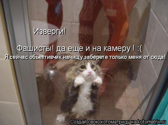 Изверги! Фашисты! да еще и на камеру ! :( Я сейчас обьективчик начищу заберете только меня от сюда!... Котоматрица: Изверги! Фашисты! да еще и на камеру ! :( Я сейчас обьективчик начищу заберете только меня от сюда!