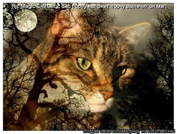 Rjc Magic Снимет с Вас порчу наложит порчу вылечит он маг!... Котоматрица: Rjc Magic Снимет с Вас порчу наложит порчу вылечит он маг!