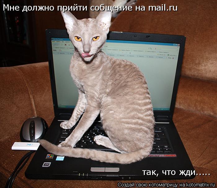 Мне должно прийти собщение на mail.ru так, что жди........ Котоматрица: Мне должно прийти собщение на mail.ru так, что жди.....
