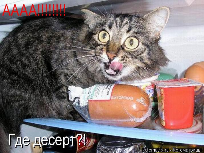 АААА!!!!!!!! Где десерт?!... Котоматрица: АААА!!!!!!!! Где десерт?!
