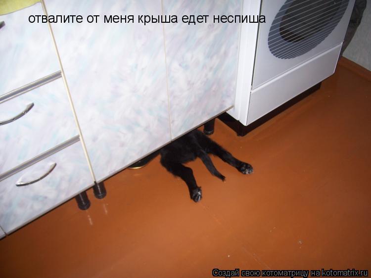 отвалите от меня крыша едет неспиша... Котоматрица: отвалите от меня крыша едет неспиша