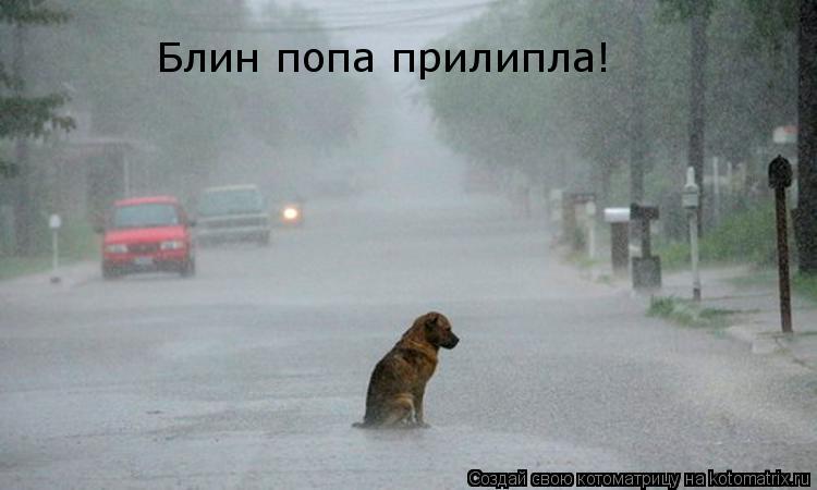 Блин попа прилипла!... Котоматрица: Блин попа прилипла!