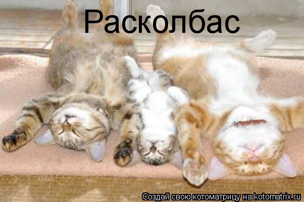 Расколбас... Котоматрица: Расколбас