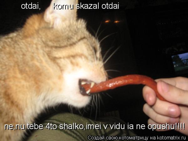 otdai, komu skazal otdai ne n... Котоматрица: otdai, komu skazal otdai ne nu neponimau ne,nu tebe 4to shalko,imei v vidu ia