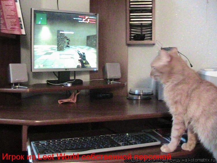 Игрок из Leet World собственной персоной... Котоматрица: Игрок из Leet World собственной персоной