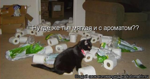 Ну где же ты мягкая и с ароматом??... Котоматрица: Ну где же ты мягкая и с ароматом??