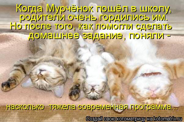 Когда Мурчёнок пошёл в школу, родители очень гордились им. Но после того, как помогли сделать домашн... Котоматрица: Когда Мурчёнок пошёл в школу, родители очень гордились им. Но после того, как помогли сделать домашнее задание, поняли - насколько тяжела с