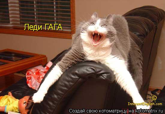 Леди ГАГА... Котоматрица: Леди ГАГА
