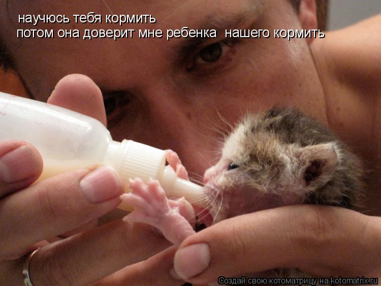 научюсь тебя кормить потом она доверит мне ребенка нашего кормить... Котоматрица: научюсь тебя кормить потом она доверит мне ребенка нашего кормить