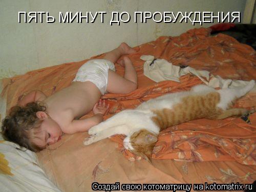 ПЯТЬ МИНУТ ДО ПРОБУЖДЕНИЯ... Котоматрица: ПЯТЬ МИНУТ ДО ПРОБУЖДЕНИЯ