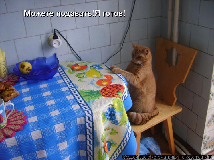 Можете подавать!Я готов!... Котоматрица: Можете подавать!Я готов!