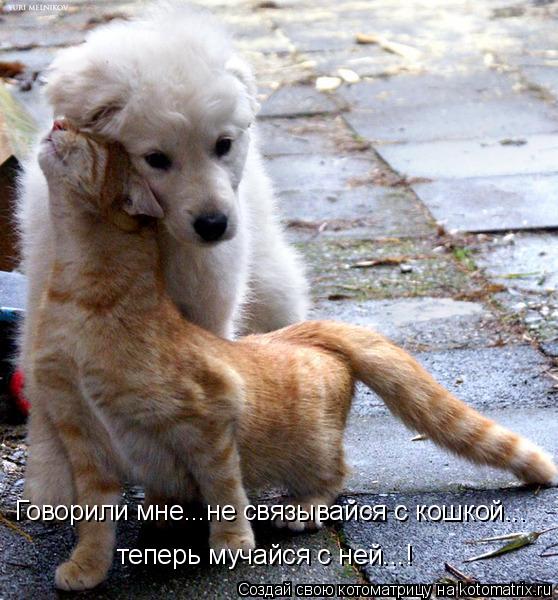 Говорили мне...не связывайся с кошкой... теперь мучайся с ней...!... Котоматрица: Говорили мне...не связывайся с кошкой... теперь мучайся с ней...!