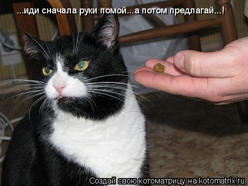 ...иди сначала руки помой...а потом предлагай...!... Котоматрица: ...иди сначала руки помой...а потом предлагай...!