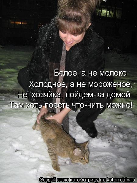 Белое, а не молоко Холодное, а не мороженое, Не, хозяйка, пойдем-ка домой Там хоть поесть что-нить мо... Котоматрица: Белое, а не молоко Холодное, а не мороженое, Не, хозяйка, пойдем-ка домой Там хоть поесть что-нить можно!