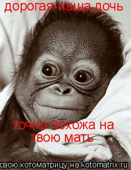 Котоматрица: дорогая-наша дочь  точно похожа на твою мать