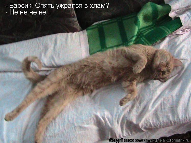 - Барсик! Опять ужрался в хлам? - Не не не не..... Котоматрица: - Барсик! Опять ужрался в хлам? - Не не не не..