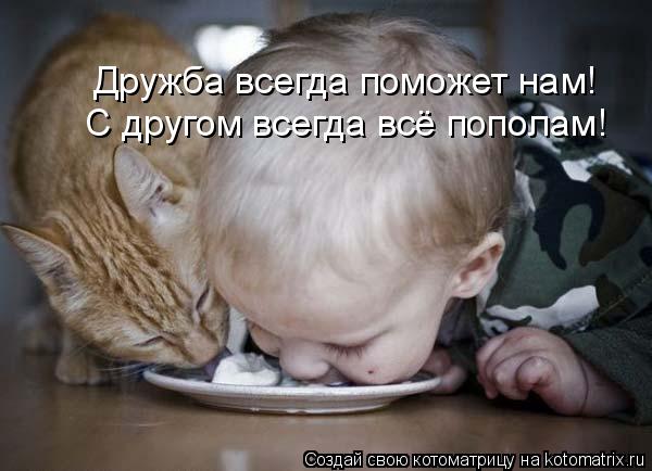 Дружба всегда поможет нам! С другом всегда всё пополам!... Котоматрица: Дружба всегда поможет нам! С другом всегда всё пополам!