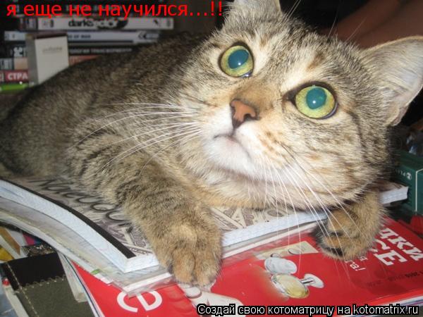 я еще не научился...!!... Котоматрица: я еще не научился...!!