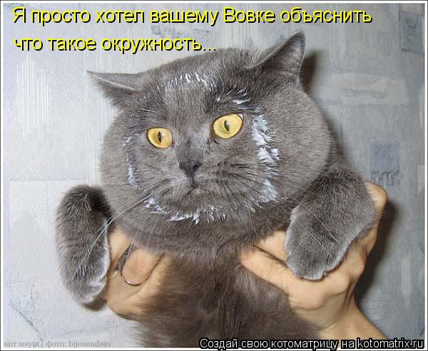 Я просто хотел вашему Вовке объяснить что такое окружность...... Котоматрица: Я просто хотел вашему Вовке объяснить что такое окружность...
