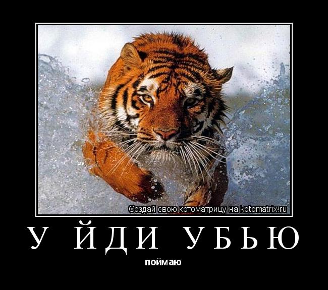 у йди убью поймаю... Котоматрица: у йди убью поймаю
