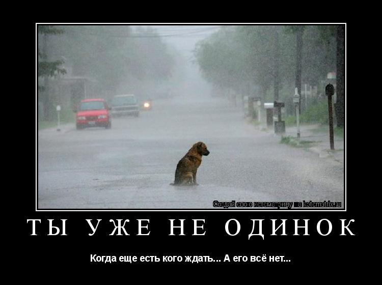 Ты уже не одинок Когда еще есть кого ждать... А его всё нет...... Котоматрица: Ты уже не одинок Когда еще есть кого ждать... А его всё нет...