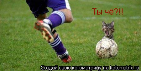 Ты чё?!!... Котоматрица: Ты чё?!!