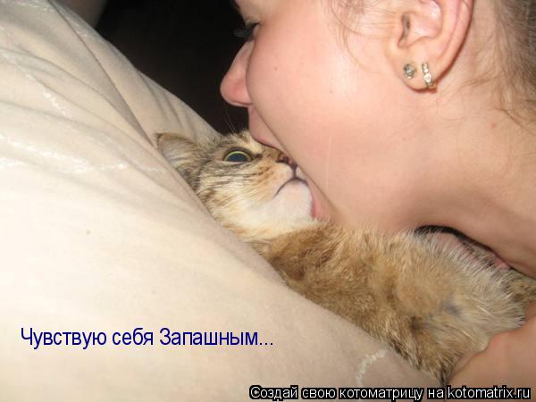 Чувствую себя Запашным...... Котоматрица: Чувствую себя Запашным...
