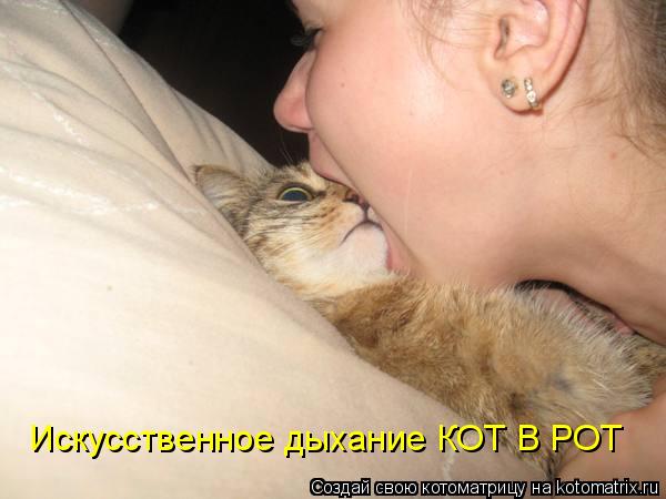 Искусственное дыхание КОТ В РОТ... Котоматрица: Искусственное дыхание КОТ В РОТ