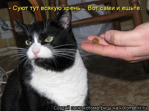 Котоматрица: - Суют тут всякую хрень... Вот сами и ешьте.