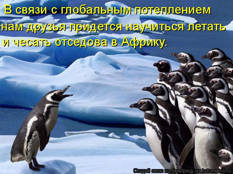Котоматрица: В связи с глобальным потеплением нам друзья придется научиться летать и чесать отседова в Африку.