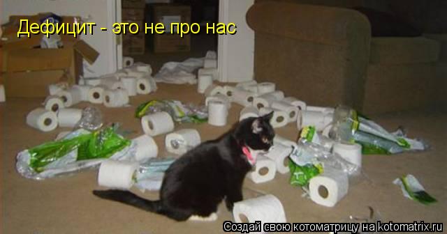Котоматрица: Дефицит - это не про нас