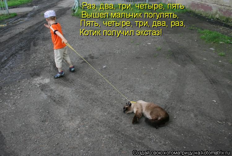 Котоматрица: Раз, два, три, четыре, пять Вышел мальчик погулять, Пять, четыре, три, два, раз, Котик получил экстаз!