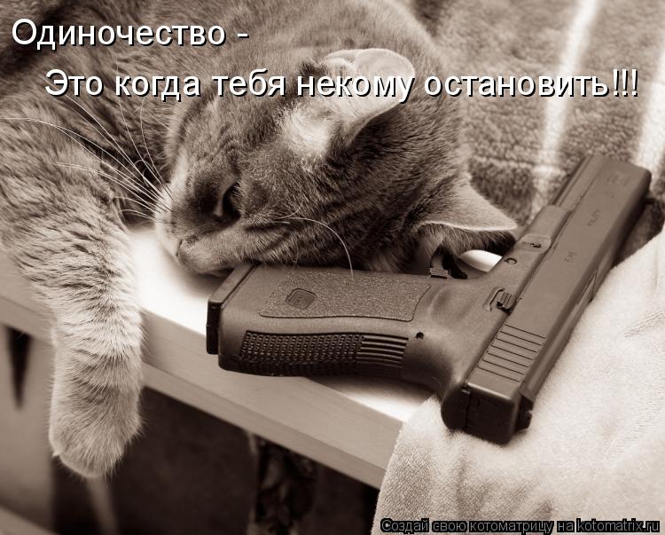 Котоматрица: Одиночество -  Это когда тебя некому остановить!!!