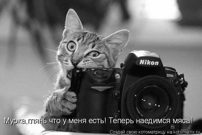 Котоматрица: Мурка,глянь что у меня есть! Теперь наедимся мяса!