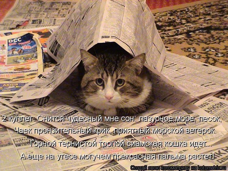 Котоматрица: 2 куплет: Снится чудесный мне сон: лазурное море, песок, Чаек пронзительный крик, приятный морской ветерок. Горной тернистой тропой сиамская