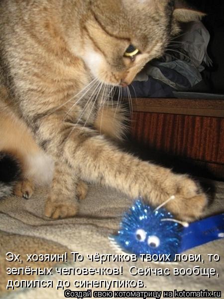 Котоматрица: Эх, хозяин! То чёртиков твоих лови, то зелёных человечков! Сейчас вообще,  допился до синепупиков.