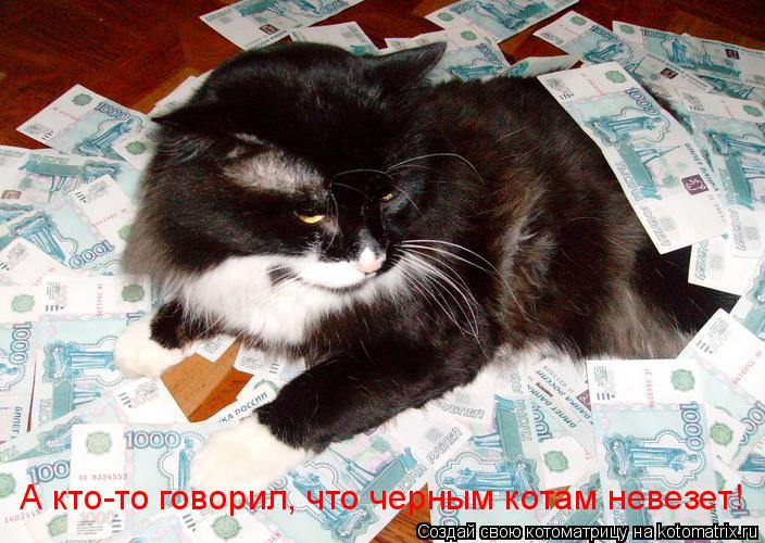 А кто-то говорил, что черным котам невезет!... Котоматрица: А кто-то говорил, что черным котам невезет!