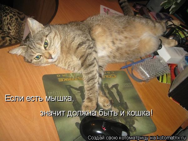 Котоматрица: Если есть мышка, значит должна быть и кошка!