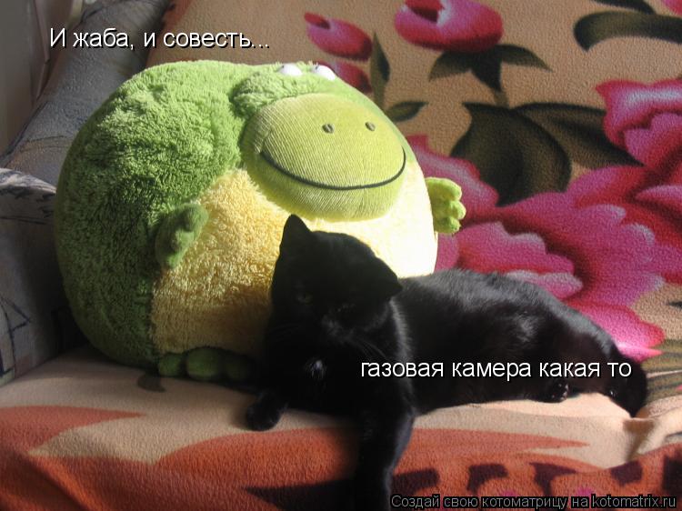 И жаба, и совесть... газовая камера какая то... Котоматрица: И жаба, и совесть... газовая камера какая то