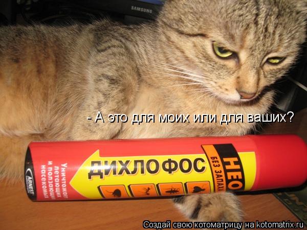 - А это для моих или для ваших?... Котоматрица: - А это для моих или для ваших?