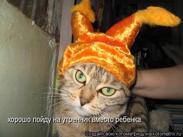 хорошо пойду на утренник вместо ребенка... Котоматрица: хорошо пойду на утренник вместо ребенка