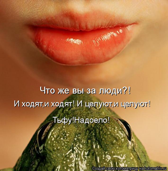 Котоматрица: Что же вы за люди?! И ходят,и ходят! И целуют,и целуют! Тьфу!Надоело!