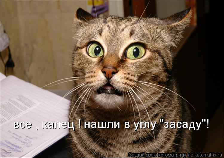 Котоматрица: все , капец ! нашли в углу "засаду"!